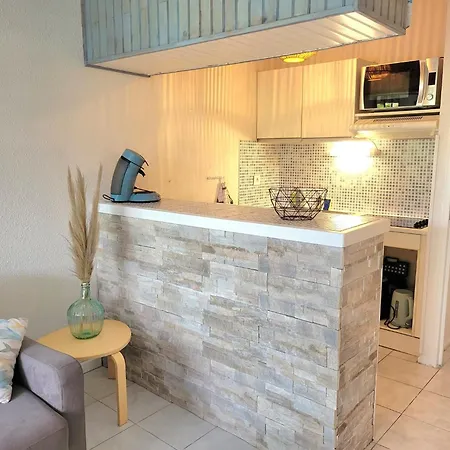 Appartement Grand 4 Personnes Clim Très Bien Situé Agde
