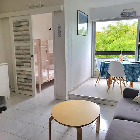 Appartement Grand 4 Personnes Clim Très Bien Situé *