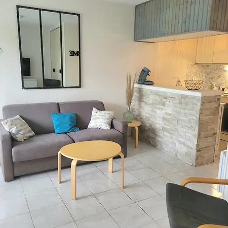 Grand 4 Personnes Clim Très Bien Situé Appartement Agde